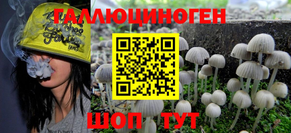 Омск  Галлюциногенные грибы мицелий  Вход с VPN 